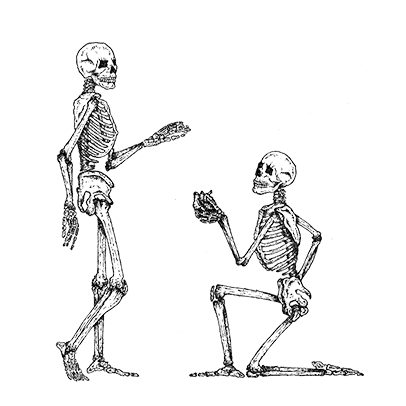 wedding photographer in newcastle andy turner logo two skeletons exchanging a heart