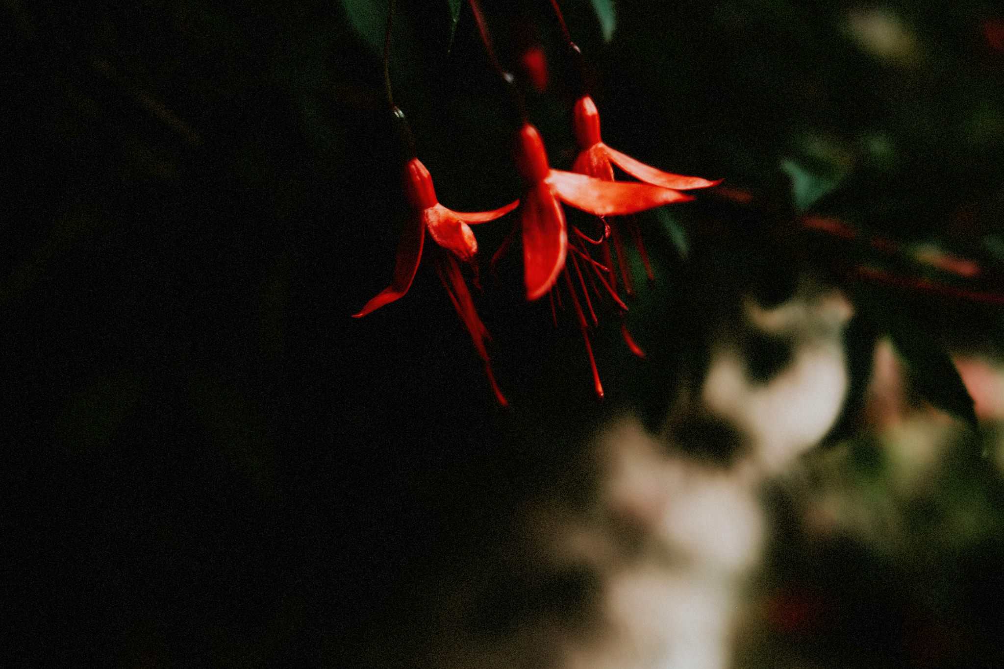 Shotton Grange wedding by North East photographer in Newcastle upon Tyne Andy Turner