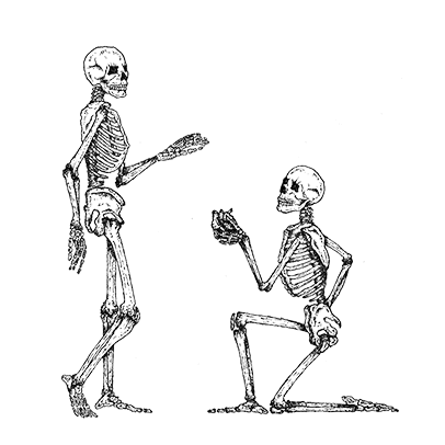 north east wedding photographer andy turner photography logo two skeletons holding a heart